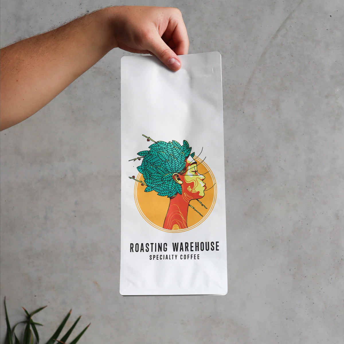 Coffee Packaging Samples